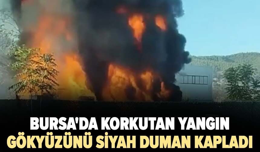 Bursa'da korkutan yangın...Gökyüzünü siyah duman kapladı