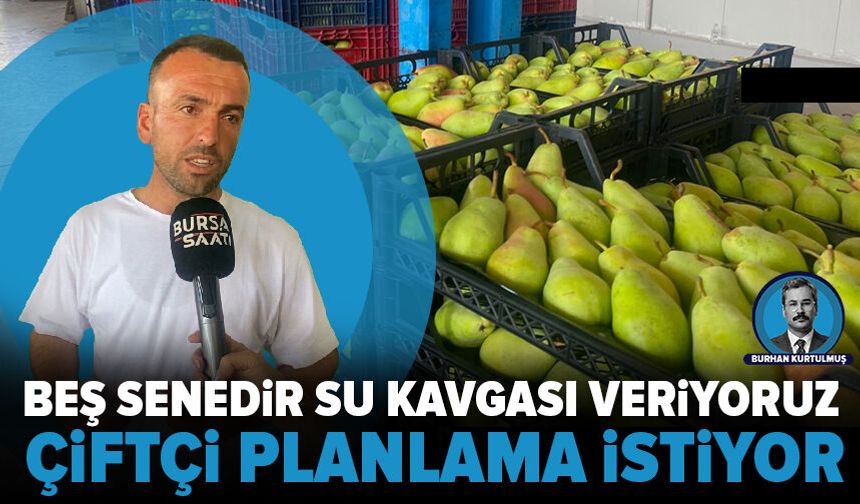 Bursa’da üretici plansızlıktan şikayetçi: “Beş yıldır susuzlukla mücadele ediyoruz”