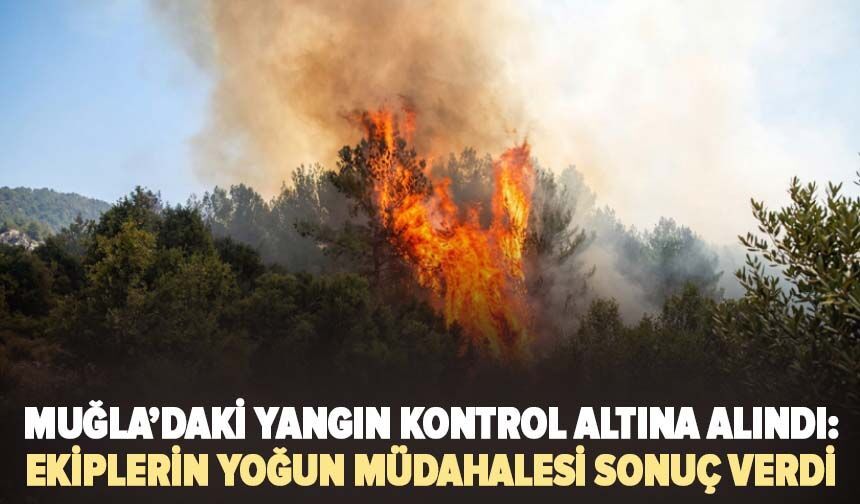 Yangın kabusu bitmek bitmiyor: Muğla bir kez daha alevlere teslim oldu