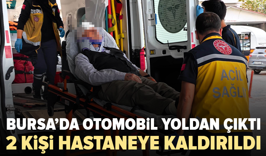 Bursa’da otomobil şarampole uçtu: Yaşlı çift yaralandı