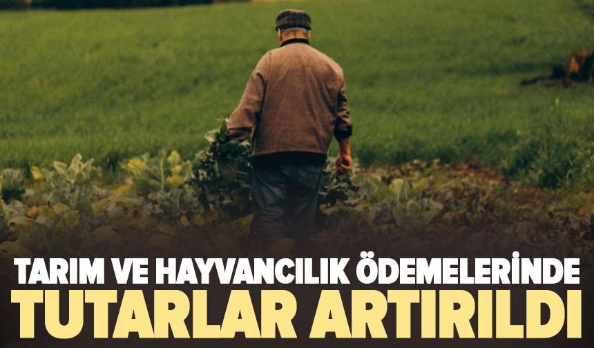 Tarım ve hayvancılık ödemelerinde tutarlar artırıldı