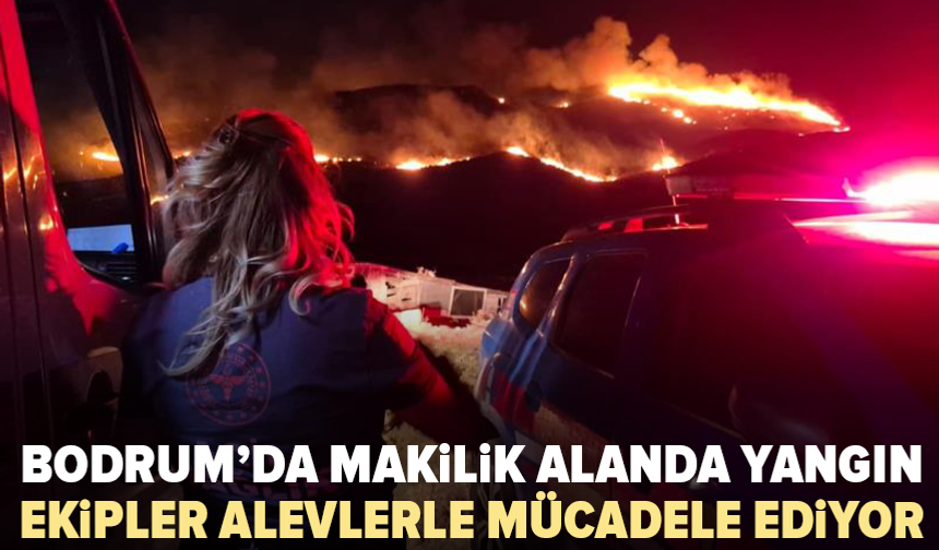 Bodrum’da makilik alanda yangın: Müdahale sürüyor