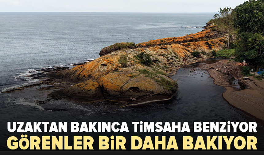 Karadeniz’de gören gözlerine inanamıyor: Dev timsahı andırıyor
