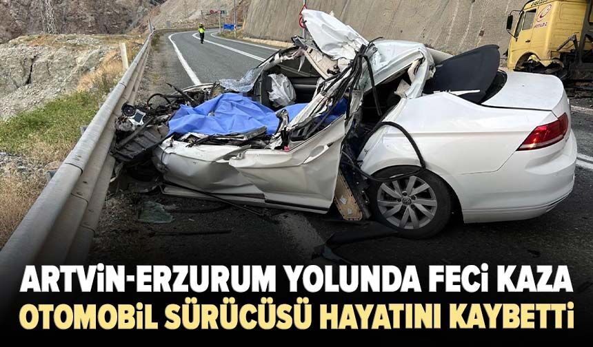 Artvin-Erzurum yolunda feci kaza: Otomobil sürücüsü hayatını kaybetti