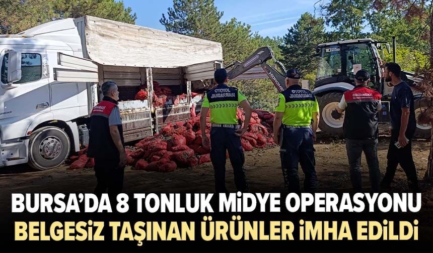 Bursa’da 8 tonluk midye operasyonu: Belgesiz taşınan ürünler imha edildi