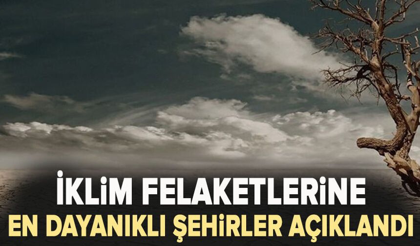 İklim felaketlerine en dayanıklı şehirler açıklandı