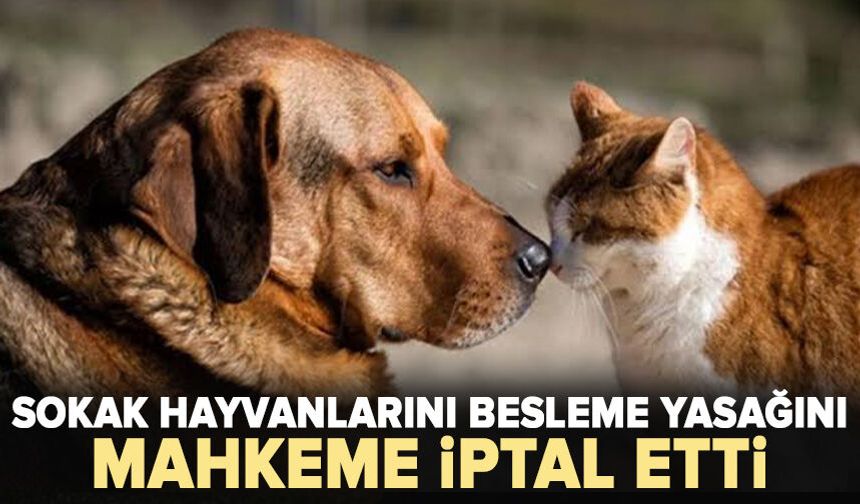 Sokak hayvanlarını besleme yasağını mahkeme  iptal etti