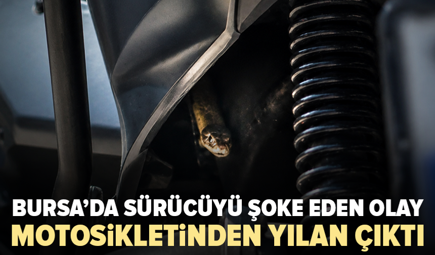 Bursa'da motosikletinden yılan çıktı: Neye uğradığını şaşırdı
