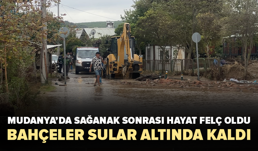 Mudanya’da sağanak sonrası hayat felç oldu! Bahçeler sular altında kaldı