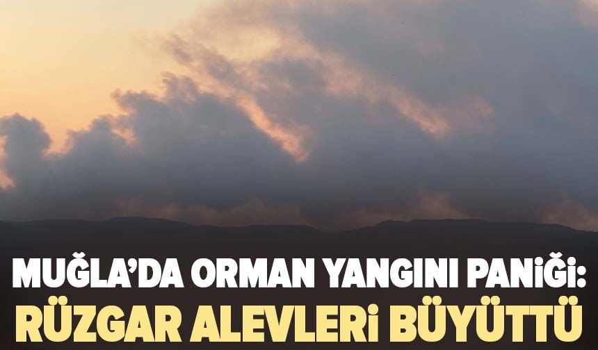 Muğla’da orman yangını paniği: Rüzgar alevleri büyüttü