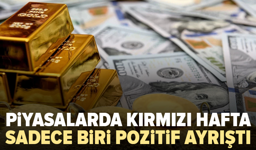 Yatırımcı için zor hafta: Kazandıran tek araç o oldu