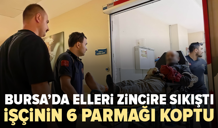 İnegöl’de iş kazası: Orman işçisinin 6 parmağı koptu