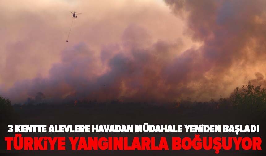 Türkiye yangınlarla boğuşuyor