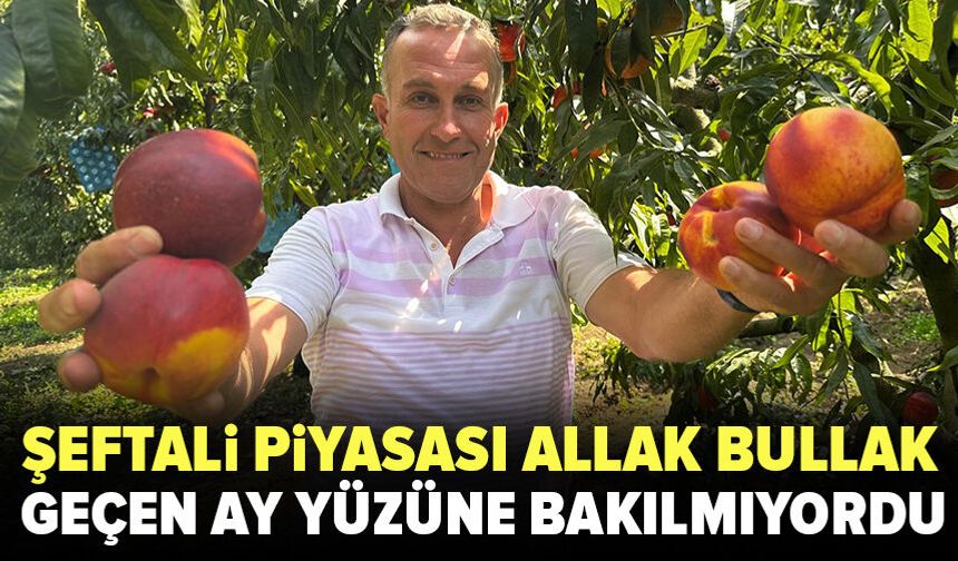 Bursa'da şeftali piyasasında dengesizlik sürüyor