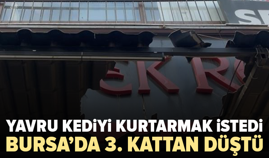 Bursa’da yavru kediyi kurtarmak isterken hayatını kaybetti