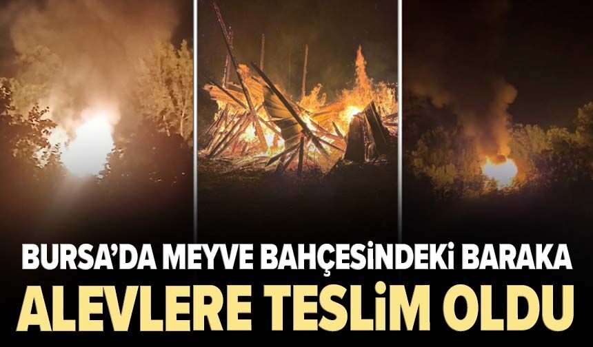 Bursa’da meyve bahçesindeki baraka alevlere teslim oldu!