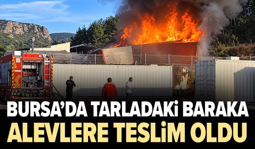 Tarladaki baraka alevlere teslim oldu! Akaryakıt istasyonuna sıçramadan söndürüldü