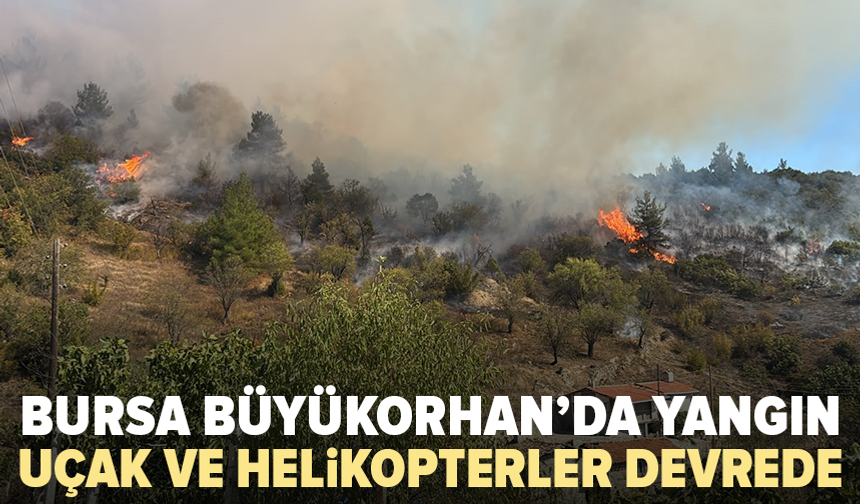 Bursa Büyükorhan’da orman yangını: Ekipler havadan ve karadan müdahale ediyor
