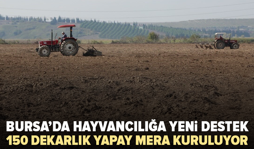 Bursa’da 150 dekarlık yapay mera kuruluyor