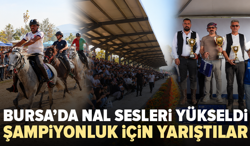 Bursa’da 200 sporcu şampiyonluk için yarıştı