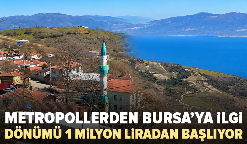 Bursa’da bu mahalleye ilgi arttı: Göl manzaralı araziler 1 milyon liradan başlıyor