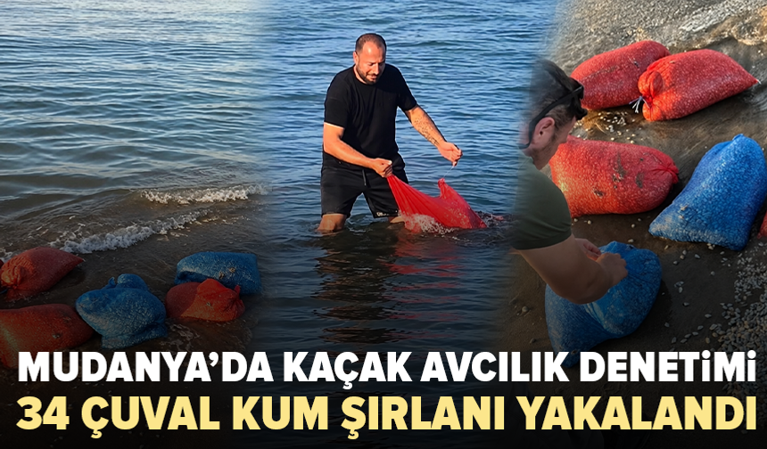 Bursa’da kaçak avcılığa darbe: 900 kilo kum şırlanı denize bırakıldı