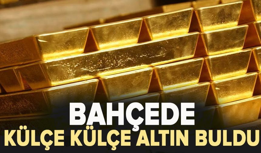 Çim biçerken 10 altın külçe buldu! Altınlar Belediyeye kaldı
