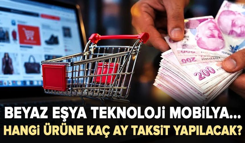 Beyaz eşya, teknoloji, mobilya... Hangi ürüne kaç ay taksit yapılacak?