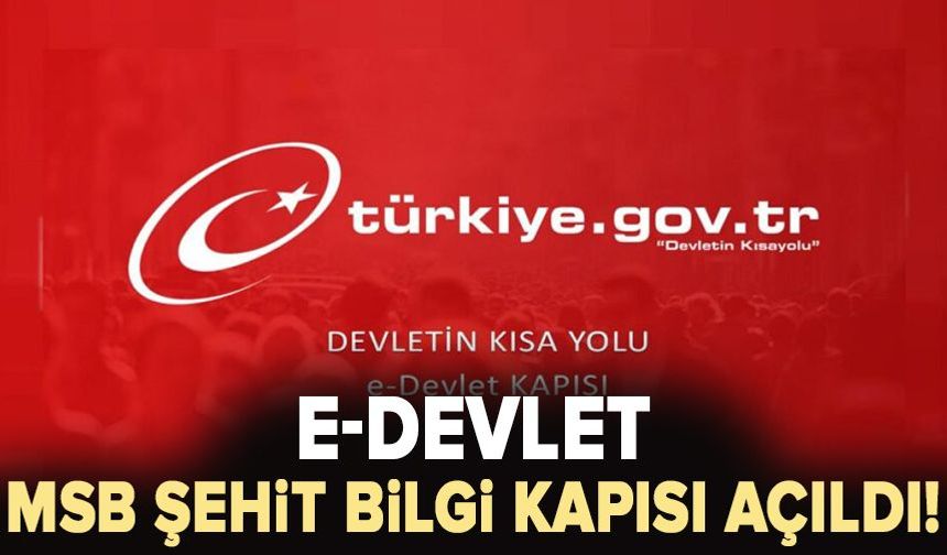 e-Devlet MSB Şehit Bilgi Kapısı açıldı!