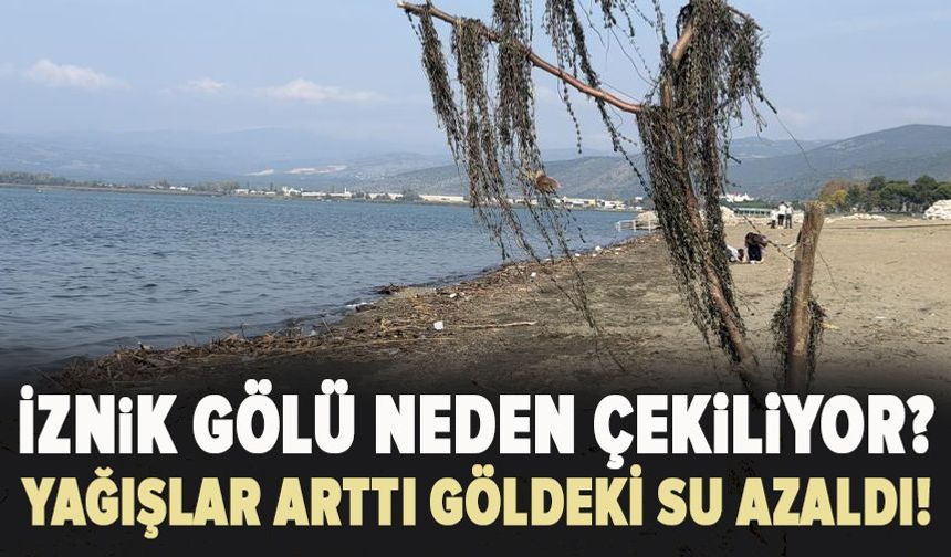 Bursa İznik Gölü'nde endişelendiren görüntü: Sular nereye gidiyor?