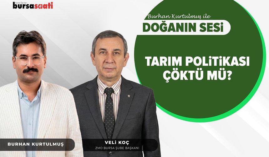 Türkiye'nin tarım politikası çöktü mü?