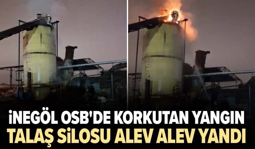 İnegöl OSB'de korkutan yangın: Talaş silosu alev alev yandı
