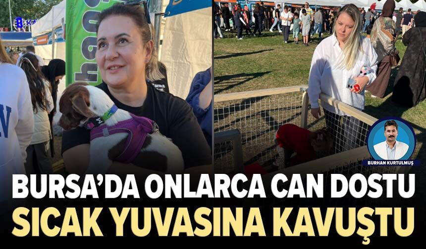 Bursa’da onlarca can dostu sıcak yuvasına kavuştu